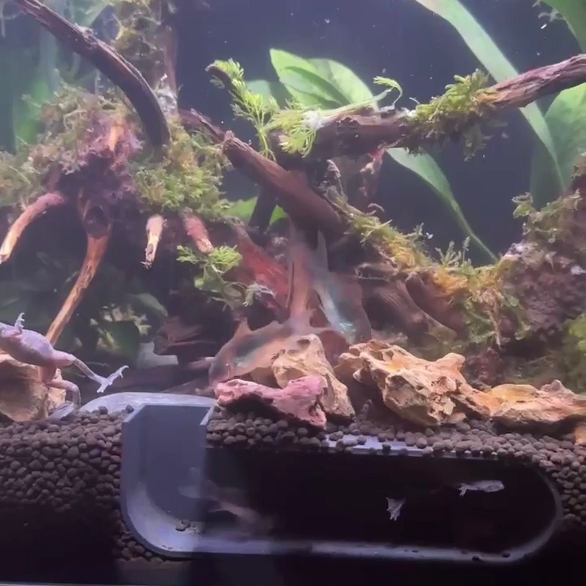 Aquarium Cave Underground Pleco Shrimp Fish Hide