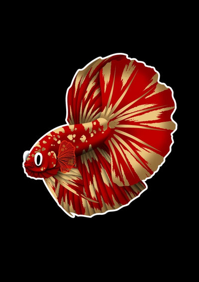 Betta Fish Stickers
