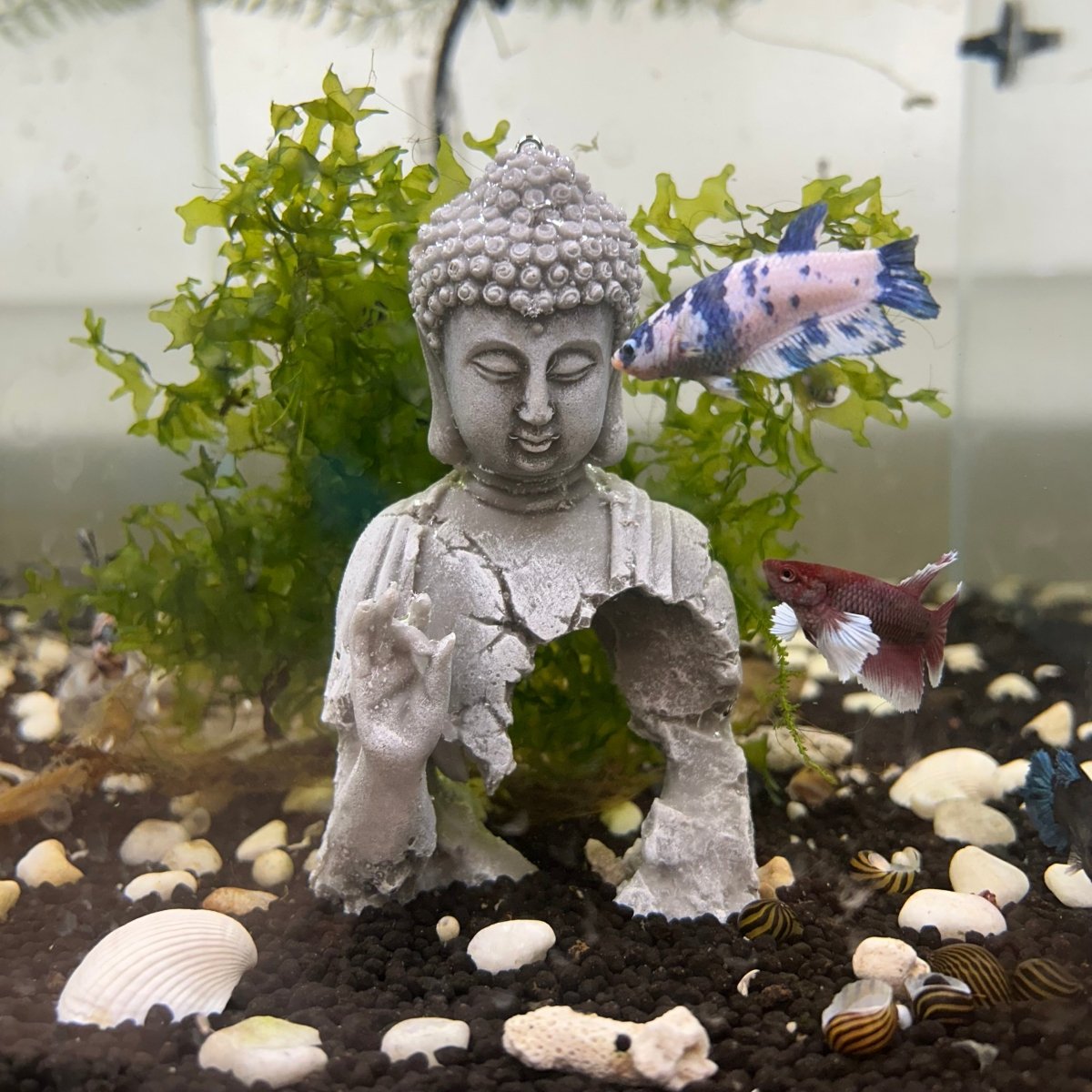 Budda Stone Figure Aquarium Decor