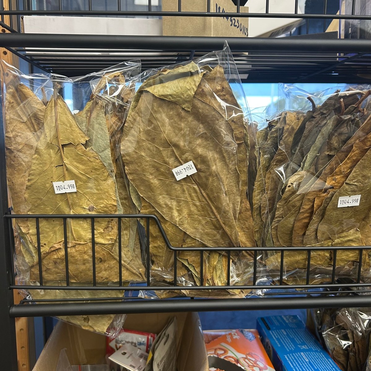 Indian Almond Leaves - Treat water for breeding, nursing bettas, shrimps