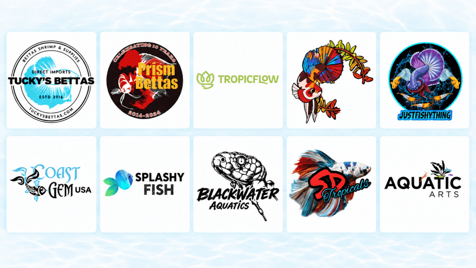 10 Websites to Buy Betta Fish Online in 2026: Selection, Prices & Reviews Compared - JustFishyThing