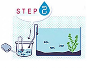 IS IT IMPORTANT TO FILL WATER AND RELEASE FISH? - JustFishyThing