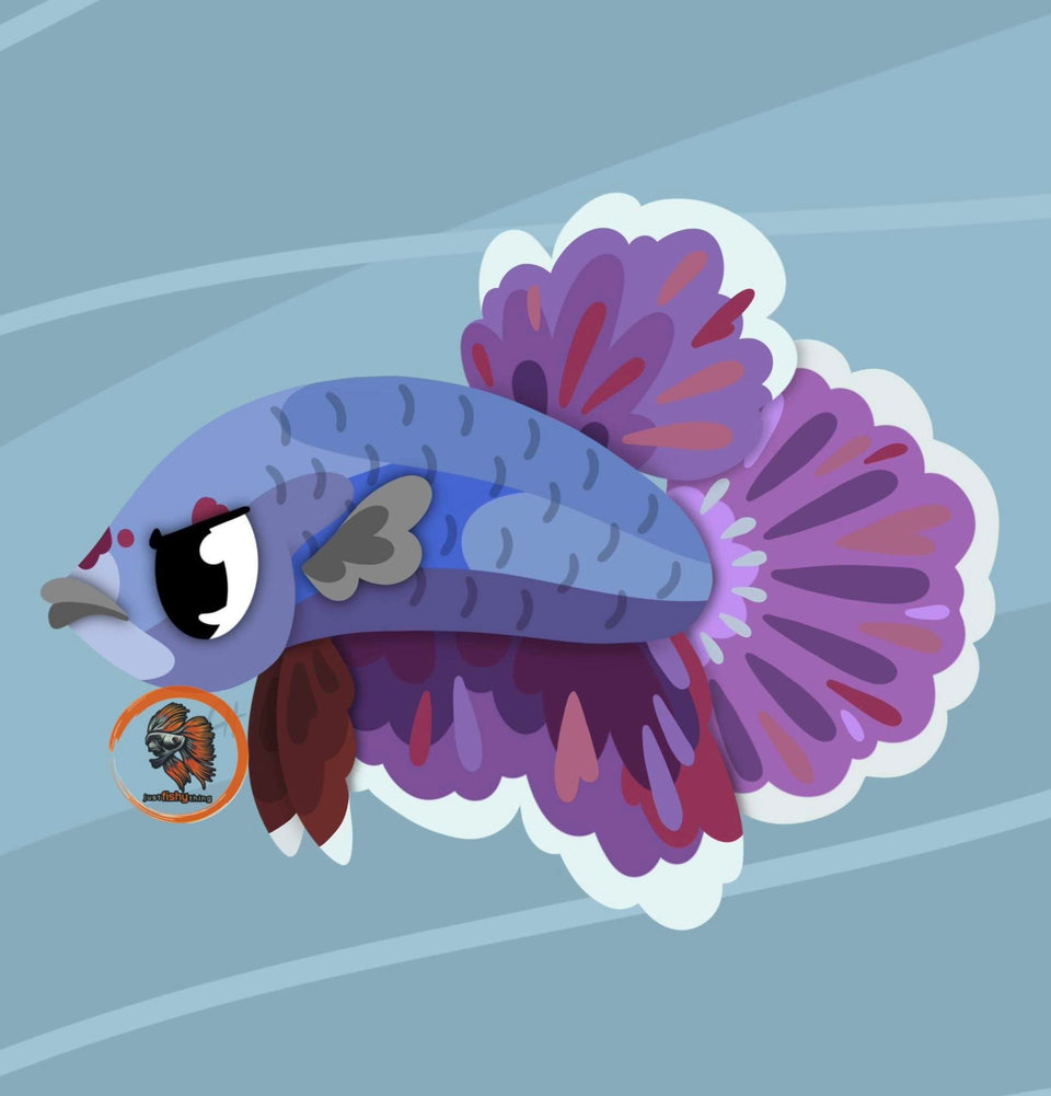 Pricing for Betta Fishes - JustFishyThing