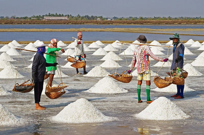 " Salt " is a miracle medicine or poison for aquariums? - JustFishyThing