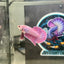 Purple Pink Plakat- Male Betta 146