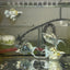 Tri-color Balloon Molly Fish