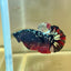 Vampire Copper Avarta Plakat - Male Betta 030