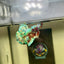 Red Koi Barongsai Plakat - Male betta 044