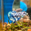 Blue Marble Dot Plakat - Male betta 015