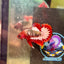 Red Fancy Copper  - Male Betta 003