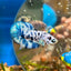 Blue Marble Dot Plakat - Male betta 015