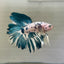 Blue Marble Halfmoon - Male Betta 155