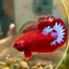 Red Fancy Hellboy Plakat - Male Betta 069