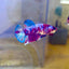 Red Koi Barongsai Plakat - Female Betta 118