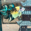 Giant Yellow Koi Plakat - Male Betta BO 4.5cm 157