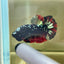 Vampire Copper Avarta Plakat - Male Betta 030