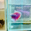 Halfmoon Purple Pink - Male Betta #153