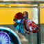 Koi Multicolor Galaxy  Plakat - Male Betta 036