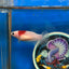 Koi Tancho Plakat - Female Betta 072