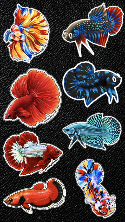 Betta Fish Sticker Sheet (8 Stickers)