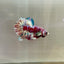 Red Snow Barongsai Plakat - Male Betta 173