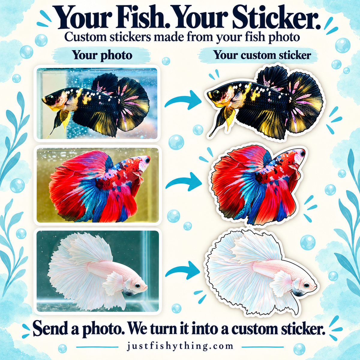 Turn your Pet Fishes into Sticker