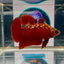 Red Gold Stardust 3 month old(with white light) Plakat - Male Betta M04