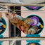 Giant Koi Multicolor - Female Betta A26