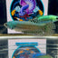 Wild Alien Gray J54 Plakat- Female Betta