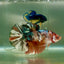 Plakat Koi Copper Multicolor Male Betta Giant #Jul01