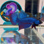 Wild Mahachai Blue - Male Betta A15