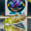 Dumbo Koi green eye - Female betta M28