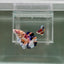 [Rare] Young Giant Koi Multicolor S69 Plakat - Male Betta