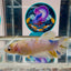 Giant Koi Multicolor - Female Betta A25