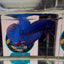 Wild Mahachai Blue - Male Betta A32