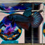 Wild Mahachai Gray - Male Betta A31