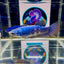 Wild Alien Blue J19 Plakat- Female Betta