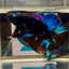 Avatar Stardust Plakat - Male Betta A02