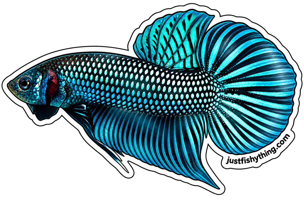 Turn your Pet Fishes into Sticker