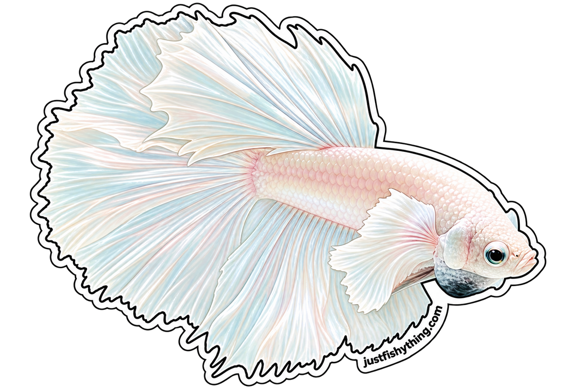 Turn your Pet Fishes into Sticker