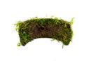 Christmas Moss on Coconut Shell Bridge