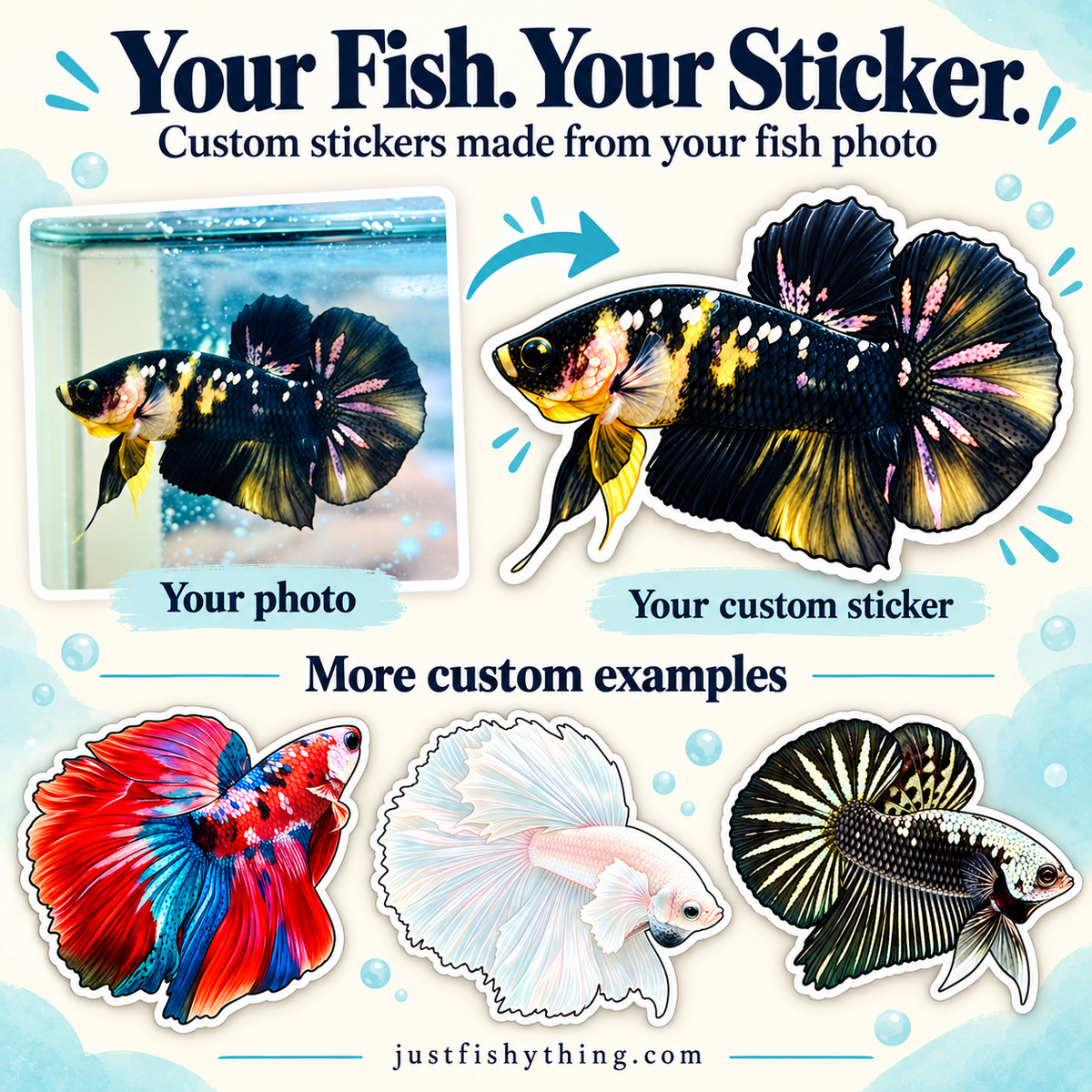Turn your Pet Fishes into Sticker