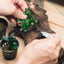 Aqua Worx Omni Aquatic Plant and Coral Glue for Sale | Aquarium Tool Aquarium Tool Single Aqua Worx