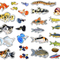 Aquarium Sticker Sheet | Collect them all | Betta, Guppy, Molly, Corydoras, Loach, Shrimps, Snails & Plants