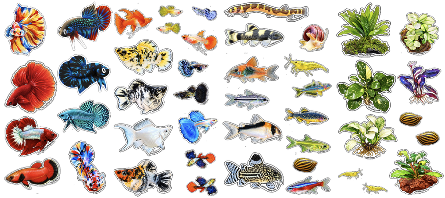 Aquarium Sticker Sheet | Collect them all | Betta, Guppy, Molly, Corydoras, Loach, Shrimps, Snails & Plants Stickers Betta aquarium plants
