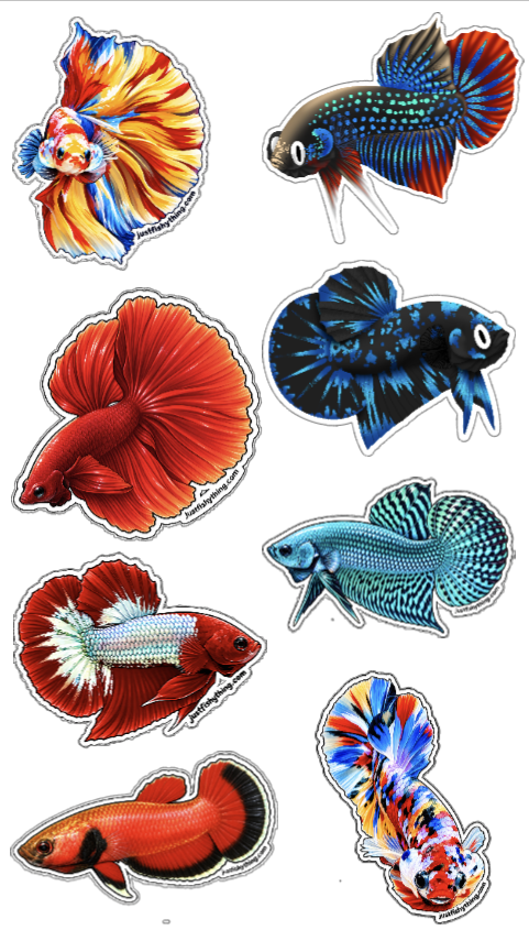 Aquarium Sticker Sheet | Collect them all | Betta, Guppy, Molly, Corydoras, Loach, Shrimps, Snails & Plants