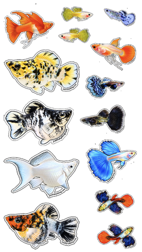 Aquarium Sticker Sheet | Collect them all | Betta, Guppy, Molly, Corydoras, Loach, Shrimps, Snails & Plants