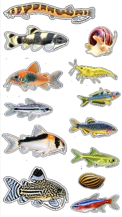 Aquarium Sticker Sheet | Collect them all | Betta, Guppy, Molly, Corydoras, Loach, Shrimps, Snails & Plants