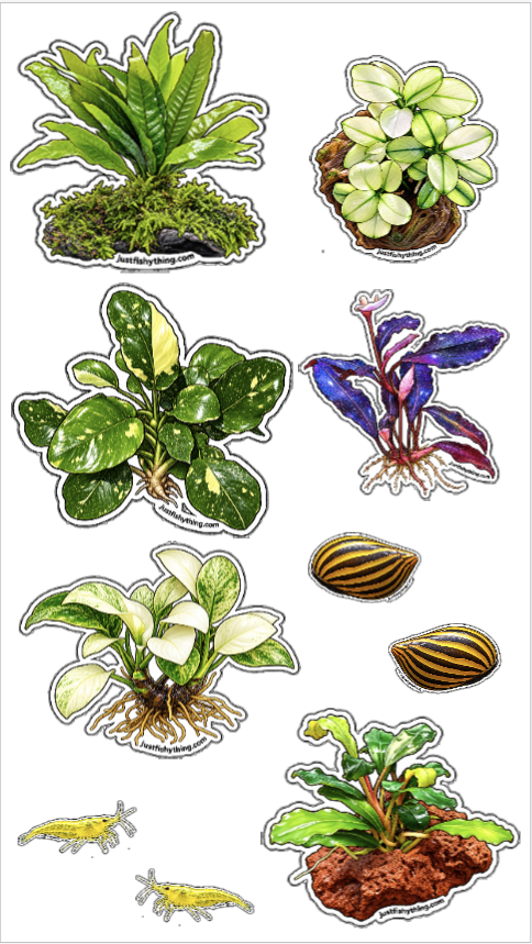 Aquarium Sticker Sheet | Collect them all | Betta, Guppy, Molly, Corydoras, Loach, Shrimps, Snails & Plants