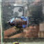 Avarta Copper Plakat - Female Betta 025
